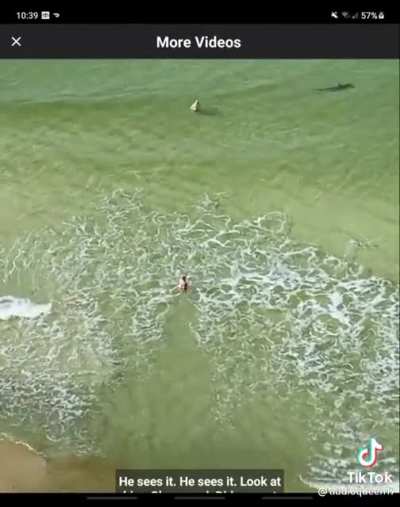 Shark Week irl