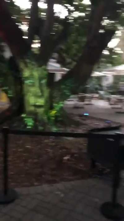 Kanye meets beatboxing tree and freestyles🌳
