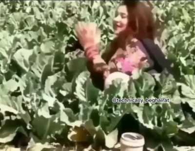 Dhaky mar maja nai a raahaha