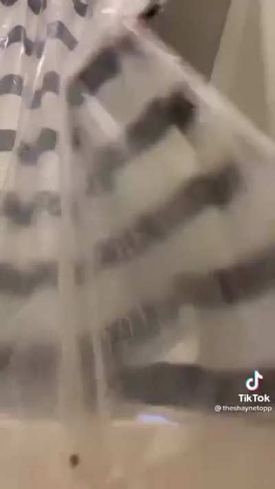 They are in fact cut screams.