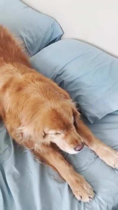Every morning&hellip;