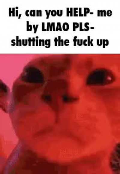 I&rsquo;m about to HFJSHHGF- fr