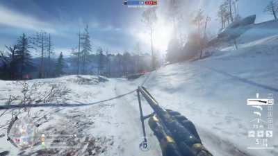 HORSE DEFENSE 101