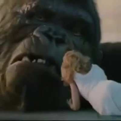 NOOO MACACO