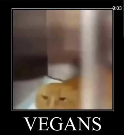 Vegi bad