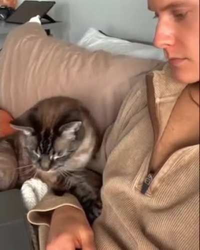 "can I bother you for some pets, please?"