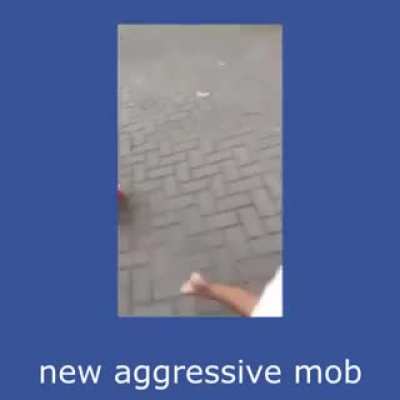 The new update looks sick