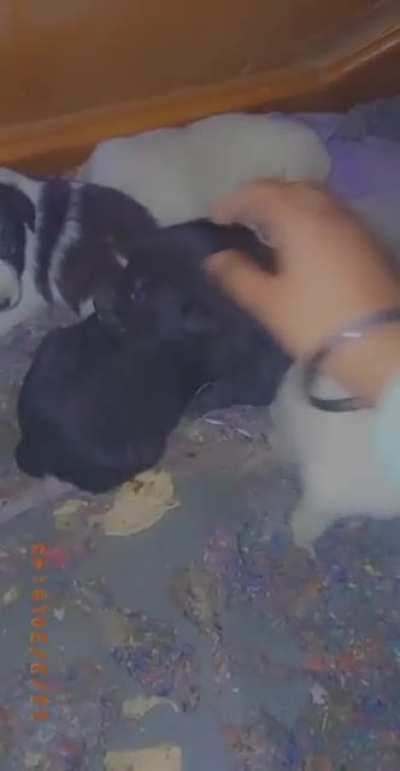 A video from 2021