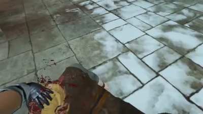 Brutal Sword fights