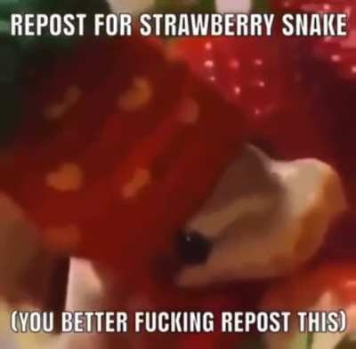 repost or DIE