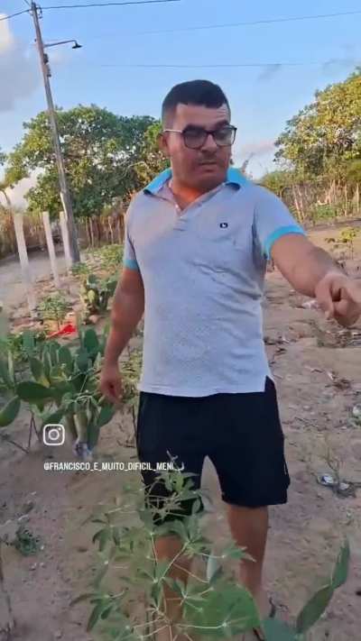 Pequeno meliante