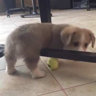 Oh no! He&rsquo;s stuck