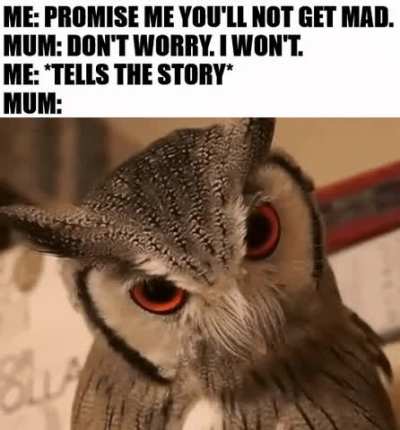 It is true.