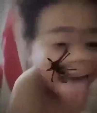 Slapping the spider filter