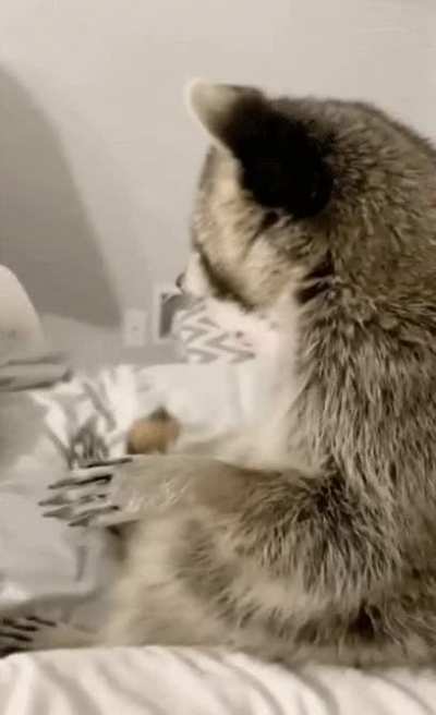 Sheer terror