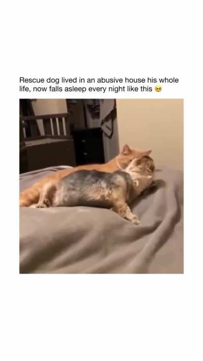 The licks at the end... 🫠