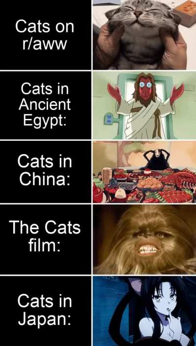 Cats are great
