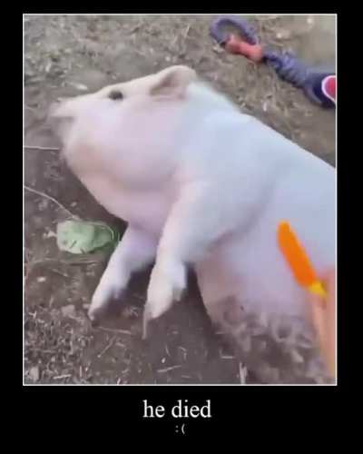 he died :(