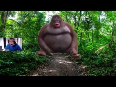 Balkan monke