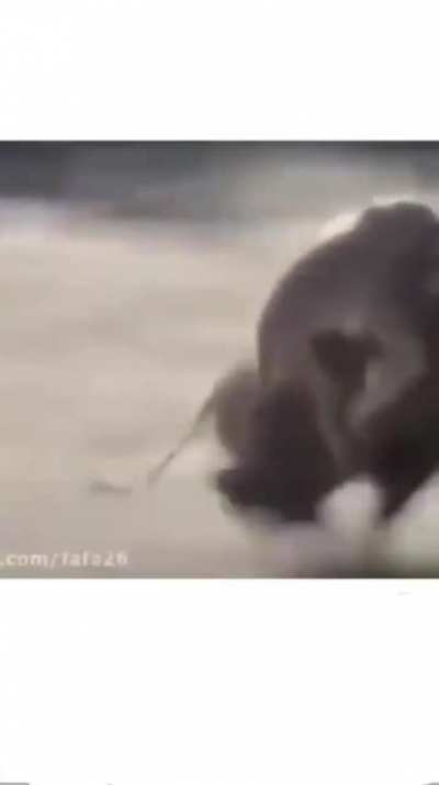 meh
