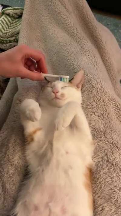 Toothbrush brushy