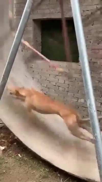 Que m&uacute;sica &eacute; essa?