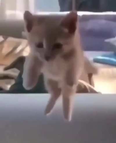 B O N K