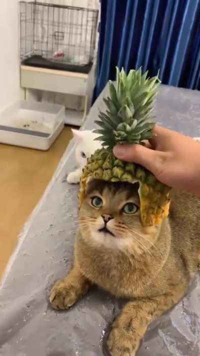 Pineapple