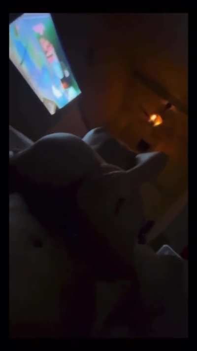 OS
