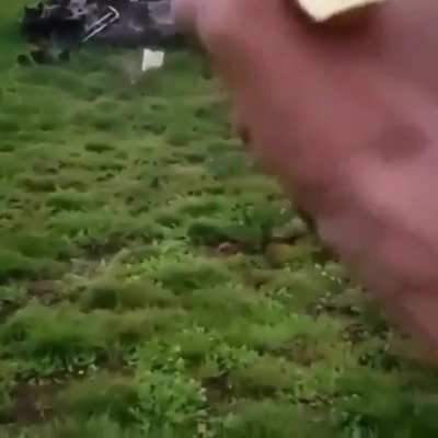 A Desert Eagle's 