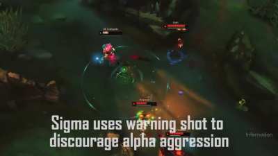 Sigma GrindSett