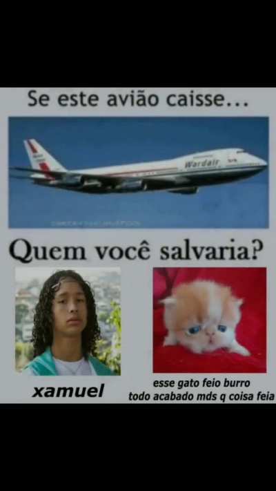Gatinho 🥺