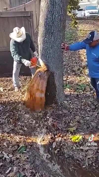 Почти берёзовый сок