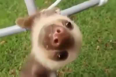 &Eacute;ē....&aring;ā