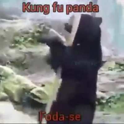 King Fu panda q n&atilde;o &eacute; panda