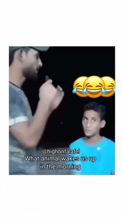 I don&rsquo;t know what to say
