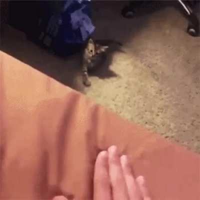 C&rsquo;mere. No, you c&rsquo;mere.