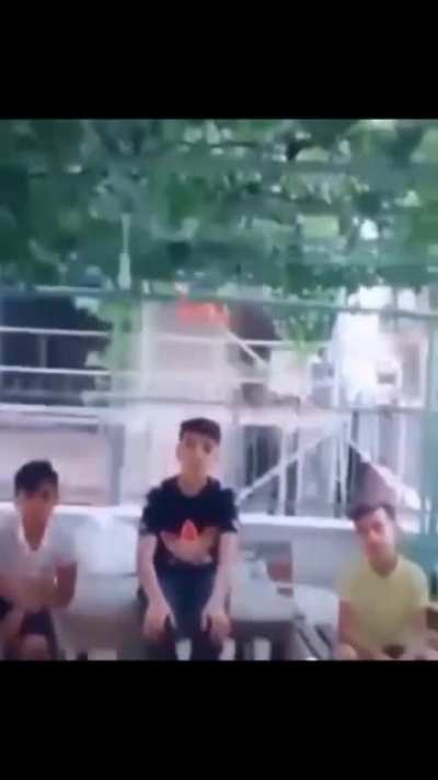 Elbet bri gn&uuml;