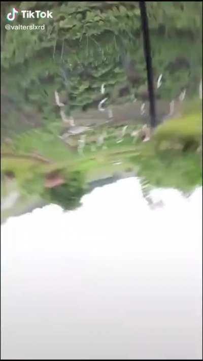 How he fall so hard on a trampoline