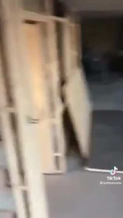 When the client sends their sheep to check on the work