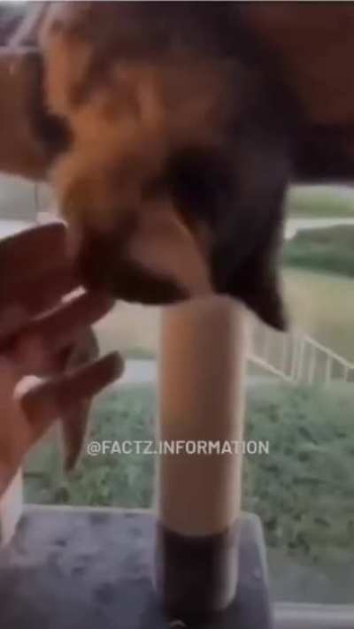My heart skipped a beat