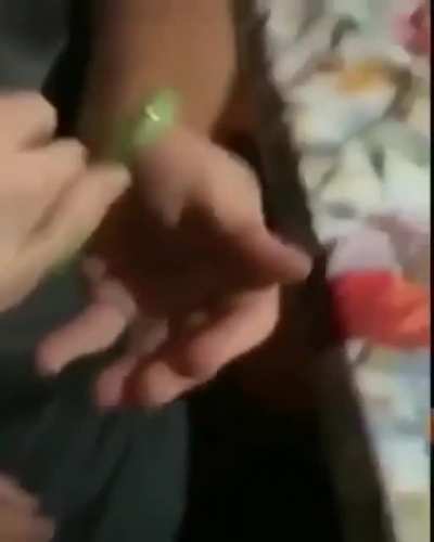 Next time, Try a spider