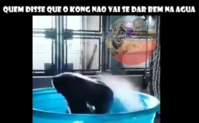 Ding Dong est&aacute; a banhar, n&atilde;o atrapalhe