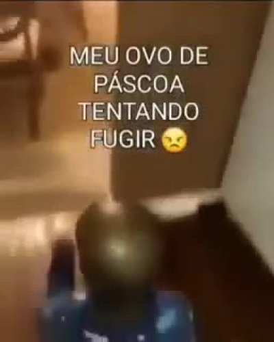 Revolu&ccedil;&atilde;o do humor negro