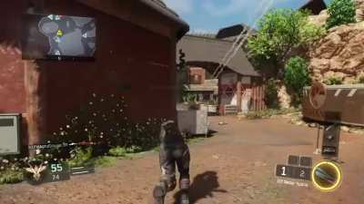 D13 Sector will be on Codm in S10 or S11. I hope codm wouldn't nerf it to the ground just like what they did to Thumper. Btw here's a clip