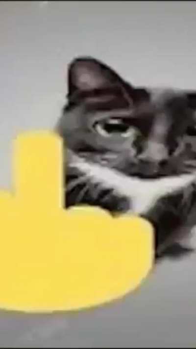 Important message