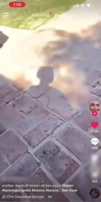 Parking in a handicapped spot, punching an old lady when confronted, then posting the video on TikTok like you&rsquo;re proud of it. People were defending this POS.