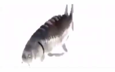 Big&rsquo;s Big Mystery Finally Revealed.