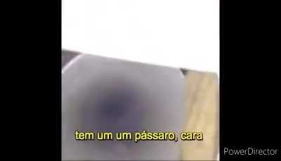 vo-voc&ecirc; gosta? 👉👈