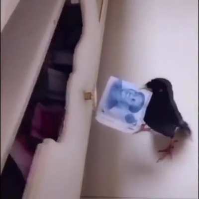 '-'